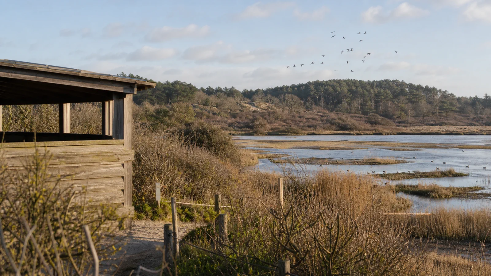 Poste d'observation et marais du Parc du Marquenterre en Baie de Somme
