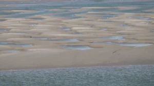 La Pointe du Hourdel à Cayeux-sur-Mer en Baie de Somme
